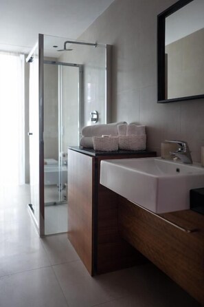 Hair dryer, towels - Vespucci Home – Elegance (Rimini)