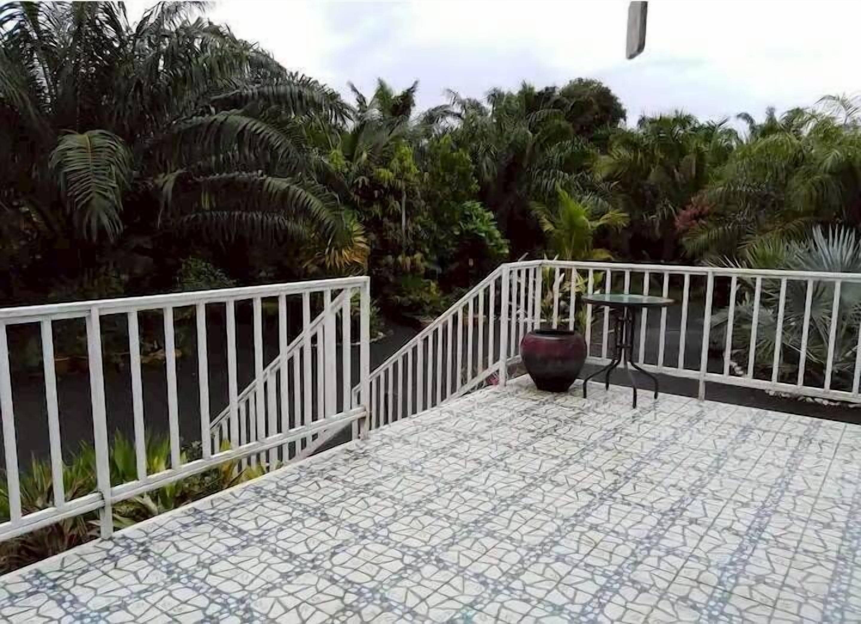 テラス / パティオ