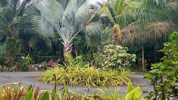 Deluxe Room, Garden View | Garden view