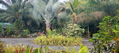 Deluxe Room, Garden View | Garden view