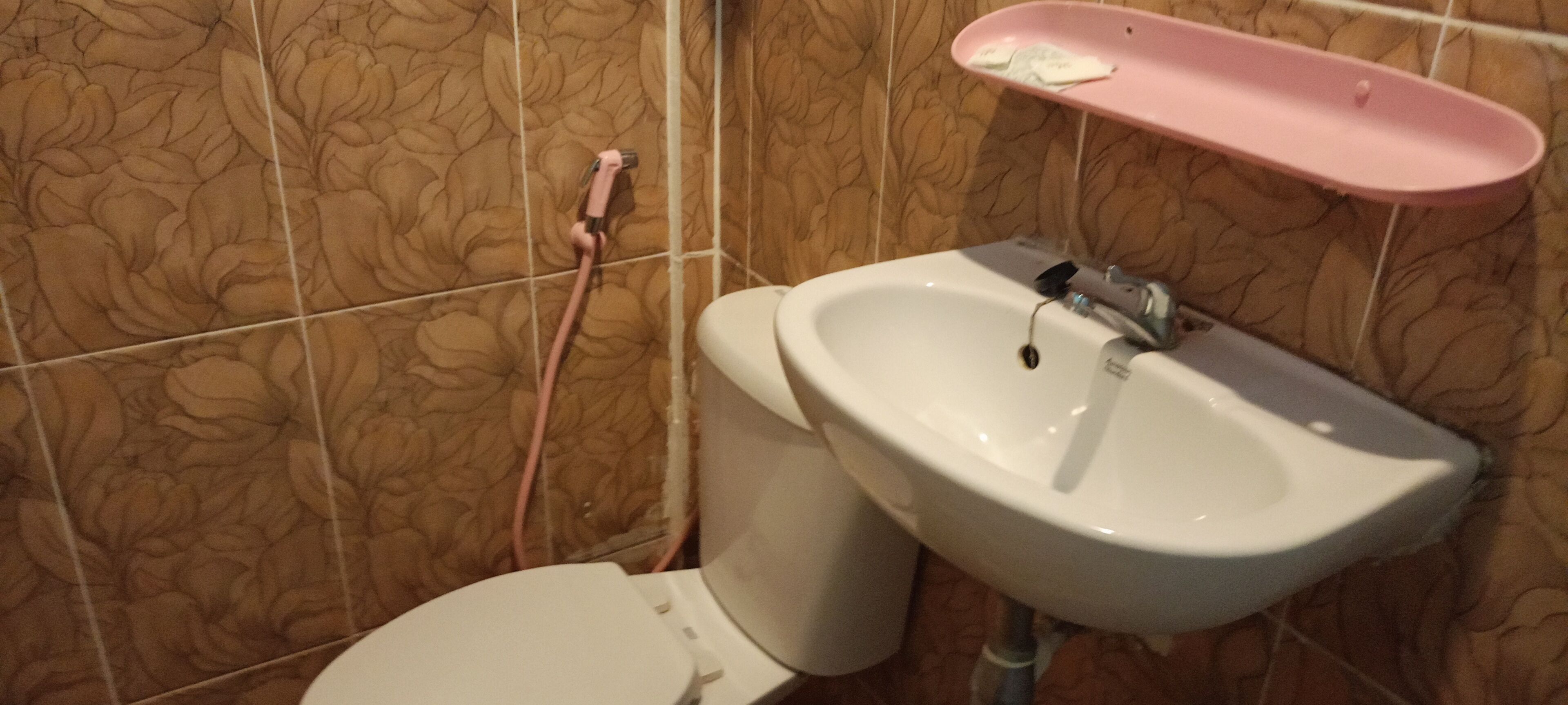 Une salle de bain avec des toilettes, un lavabo et une étagère rose.