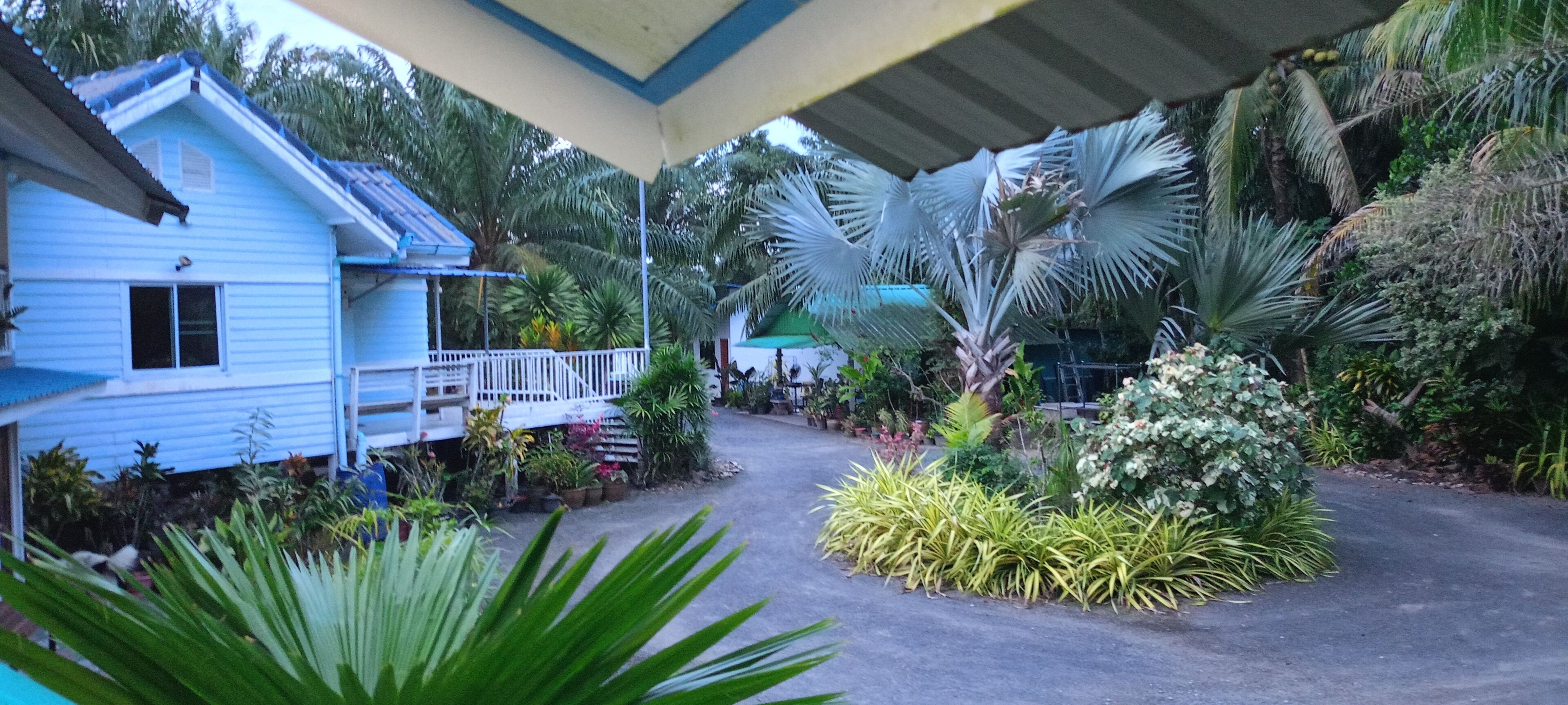 Chambre Supérieure, vue jardin | Vue sur le jardin