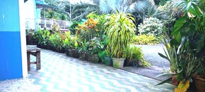 高级房, 花园景观 | 起居区