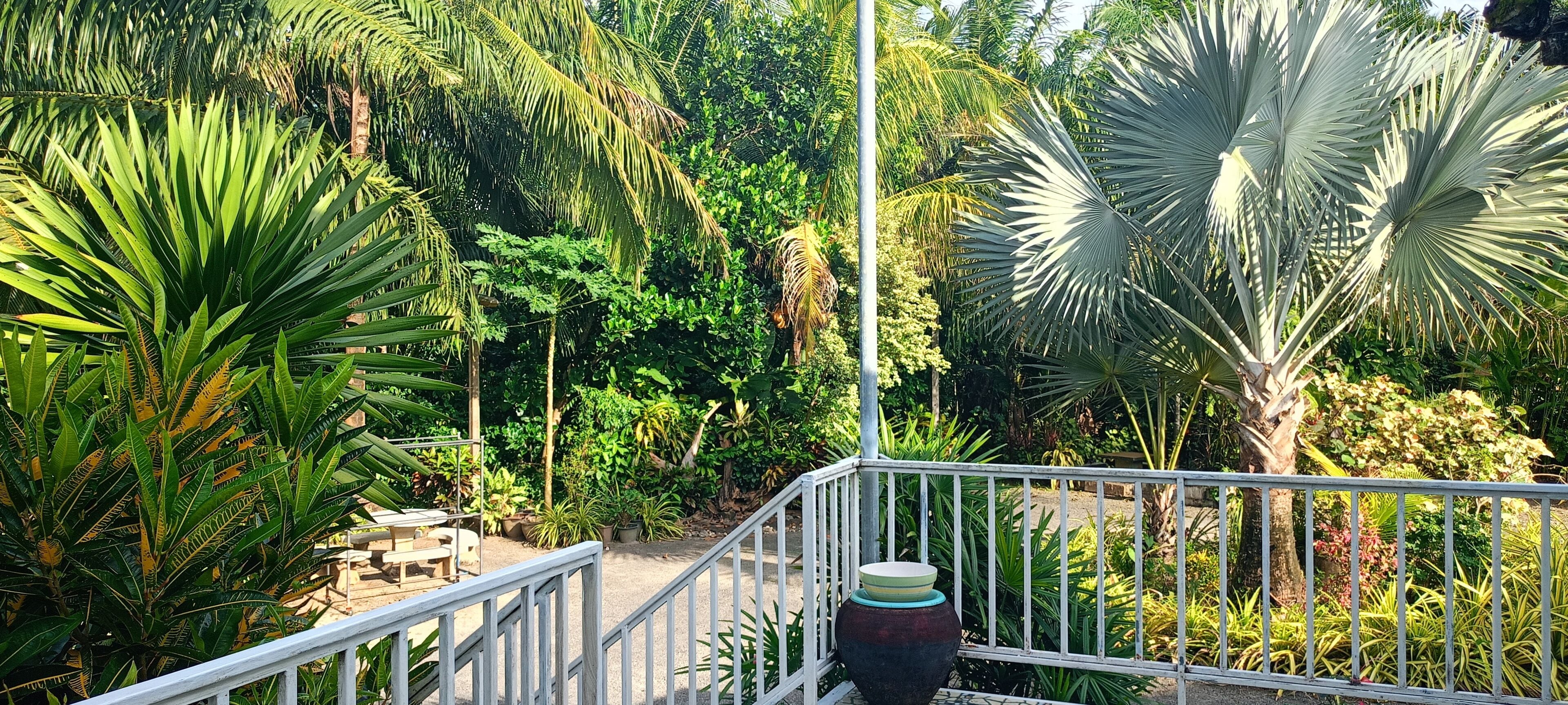 Family Quadruple Room, Garden View | Balcony view
