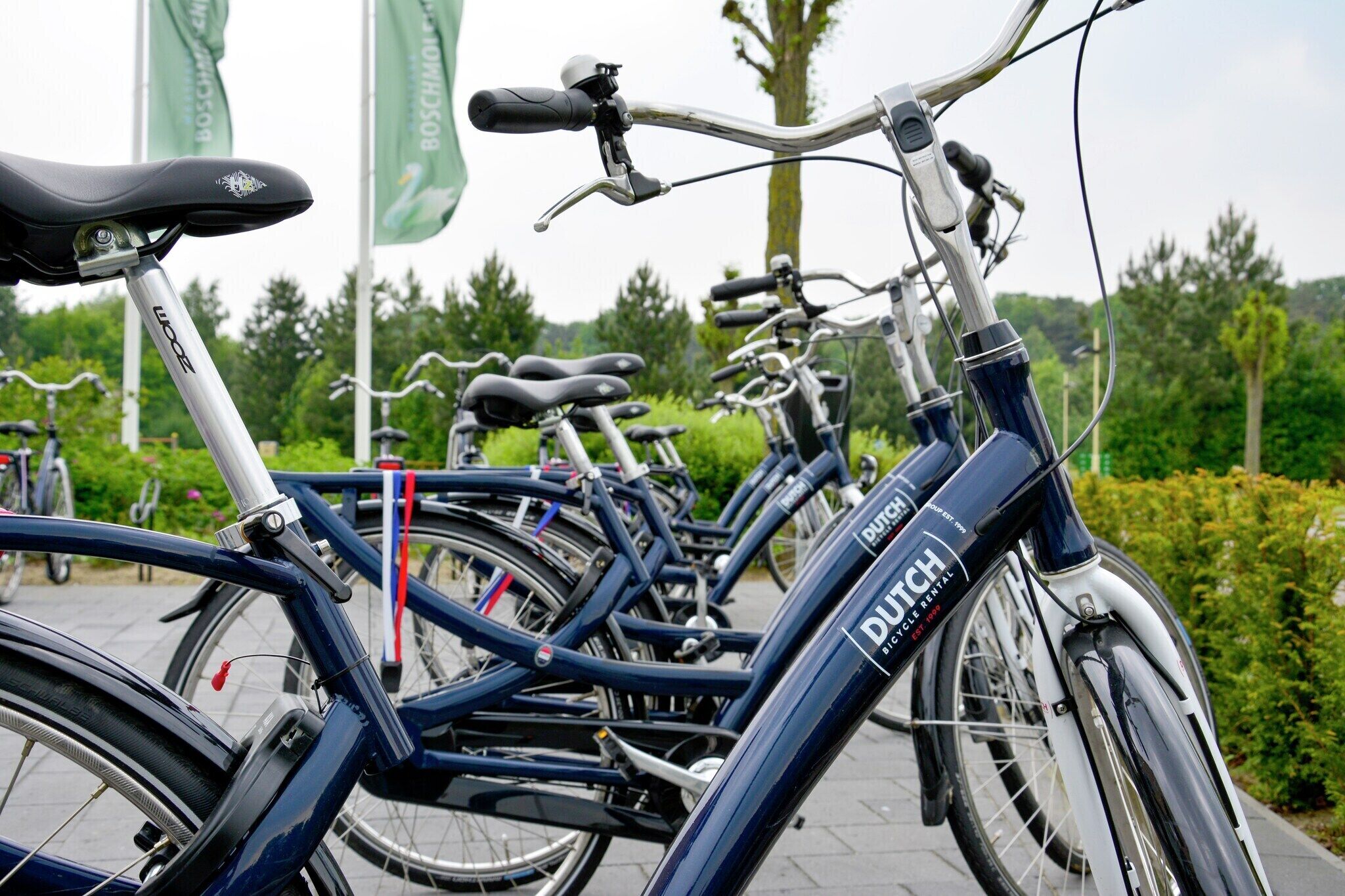 A row of bicycles parked in an outdoor area with greenery in the background.