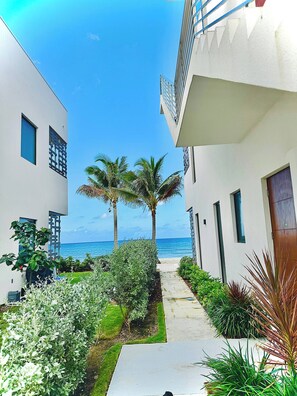Property grounds - Oceanfront Residency luxury 2B2B ,1-6 person ,terrasse, beach access garden pool (North Side)