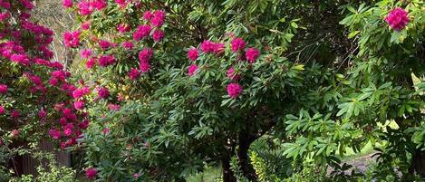 المنطقة المحيطة بالمنشأة