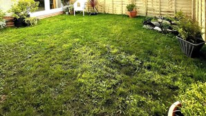 Property grounds - Newcastle Pet friendly Annex, drive,  garden, 10min drive to city centre (Newcastle upon Tyne)