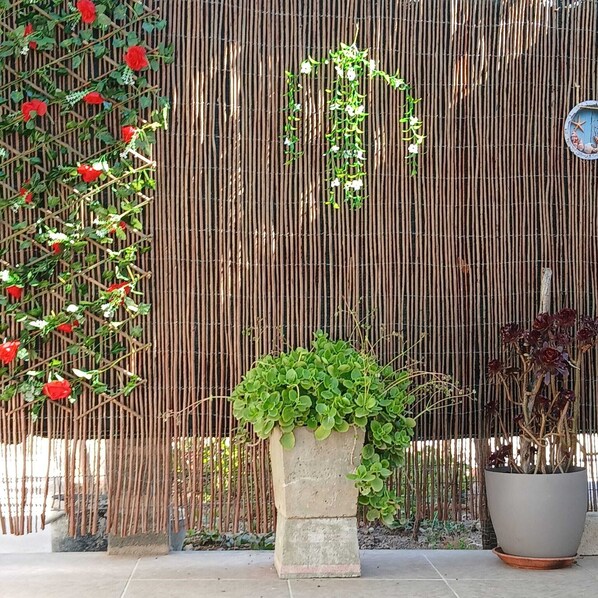 Exterior detail - Charming Country House (Faro)