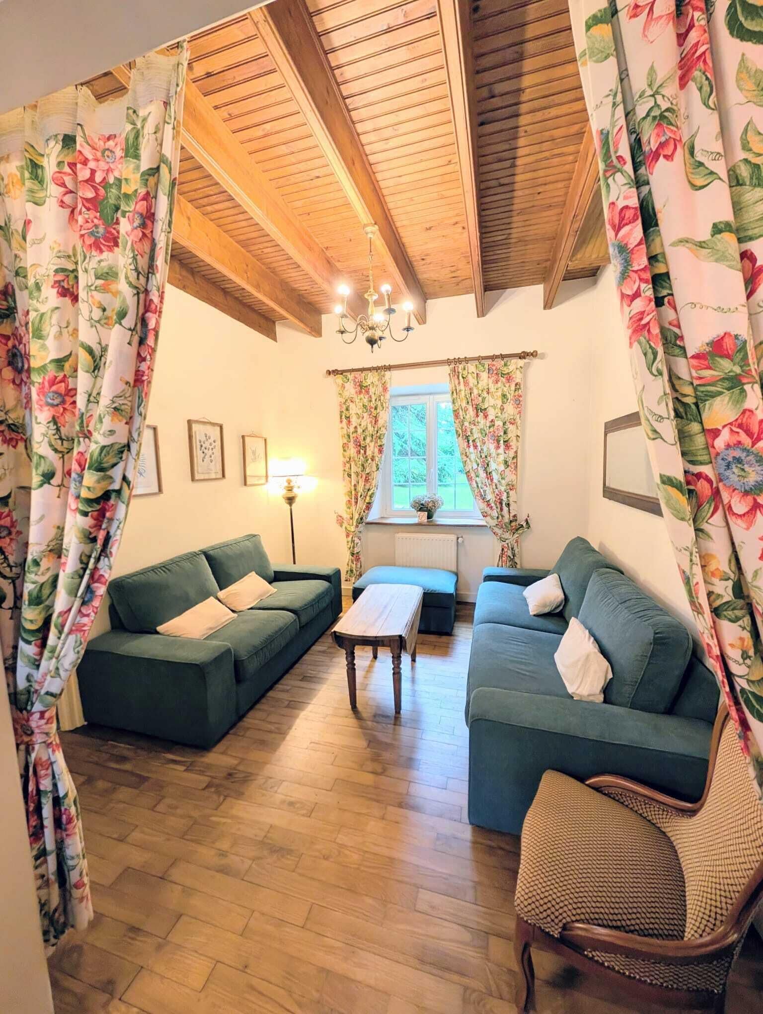 Traditioneel huis, en-suite badkamer, uitzicht op park | Lounge