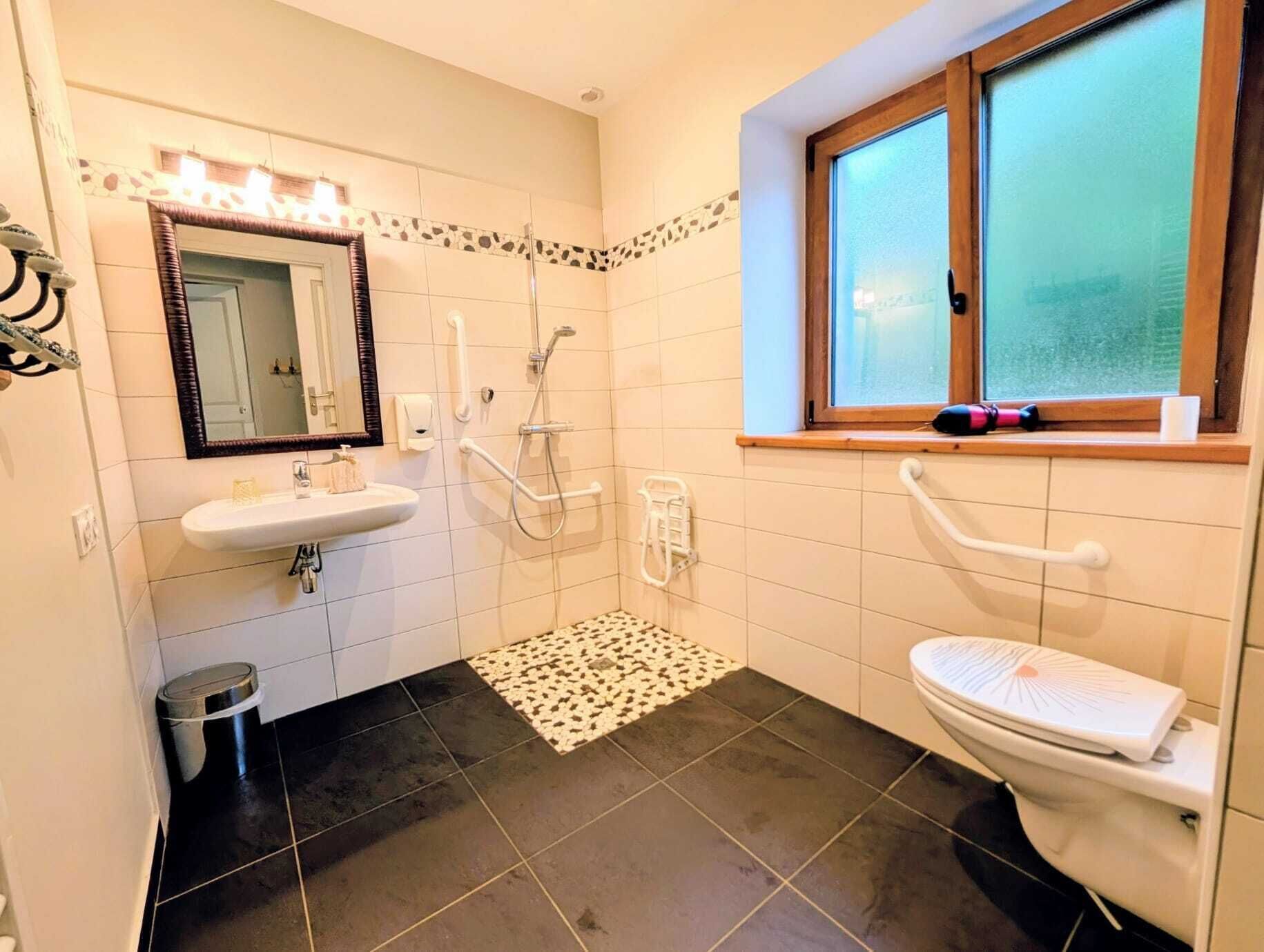 Ein Badezimmer mit weißem Waschbecken, Spiegel und Toilette, einer Dusche mit Haltegriffen, einem gemusterten Teppich und einem Fenster mit Blick.