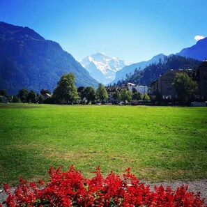 Miscellaneous - Concierge, Idyllic Farm, Scenic Views by SwissHut (Sigriswil)