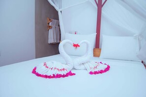 واي فاي مجانًا