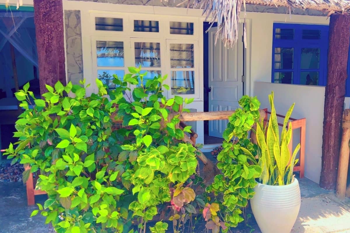 واي فاي مجانًا