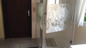 Shower, towels, toilet paper