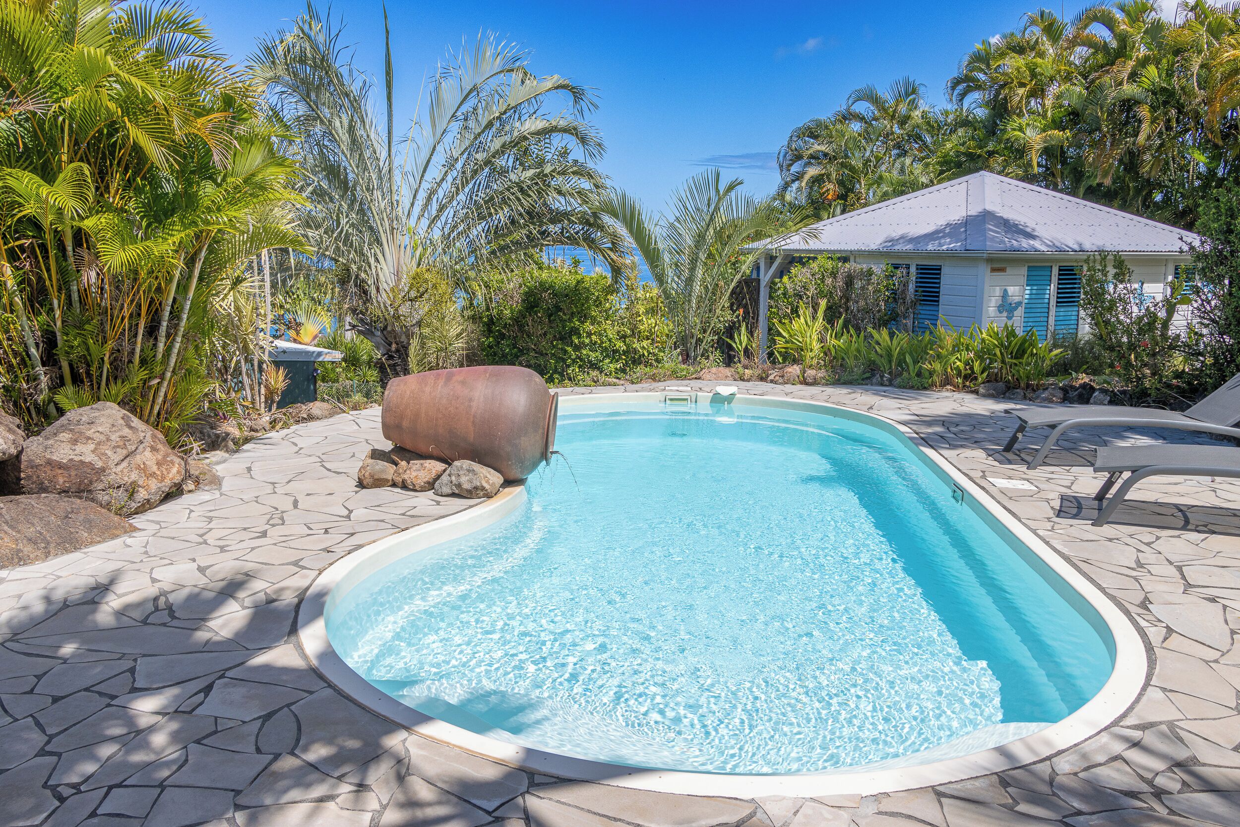 Una piscina con plataforma de piedra, rodeada de vegetación tropical y un pequeño edificio con contraventanas azules.