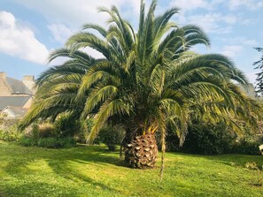 Property grounds - Peaceful Retreat Near the Port – Terrace, Private Garden & Wi-Fi (Paimpol)