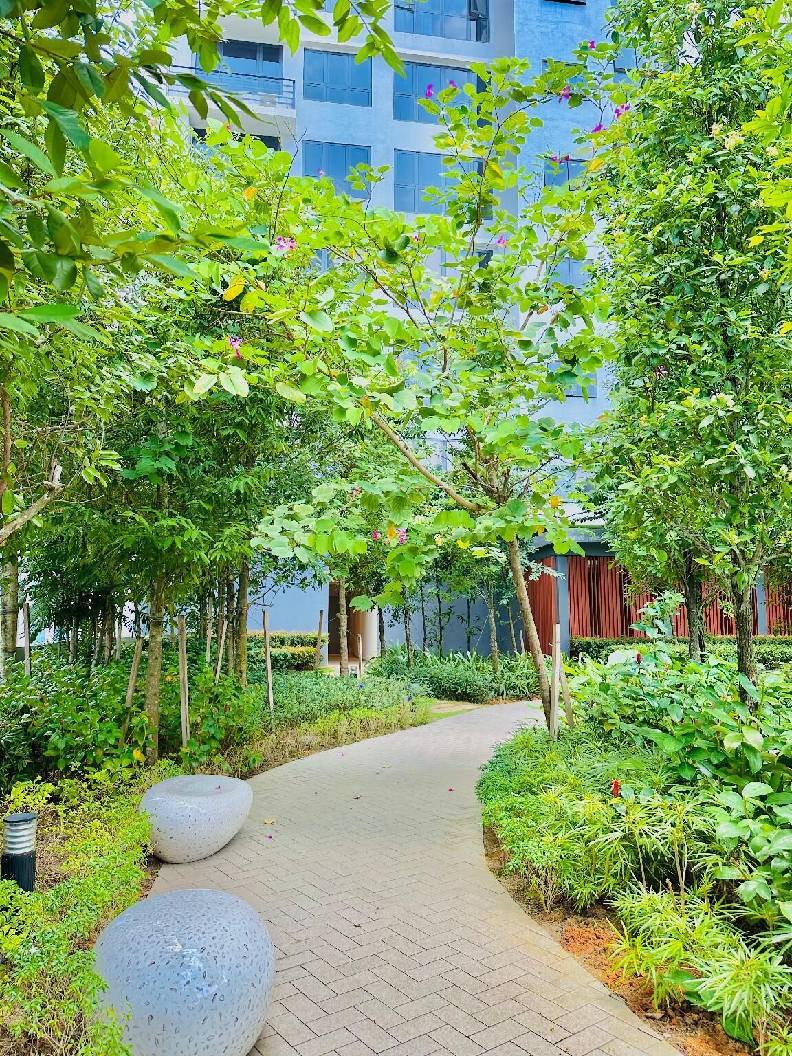 A pathway flanked by lush greenery and large stone planters, leading to a modern building with a blue facade.