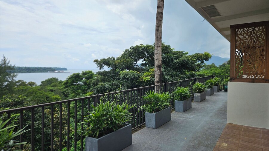 ヴァイン アンド キャノピー