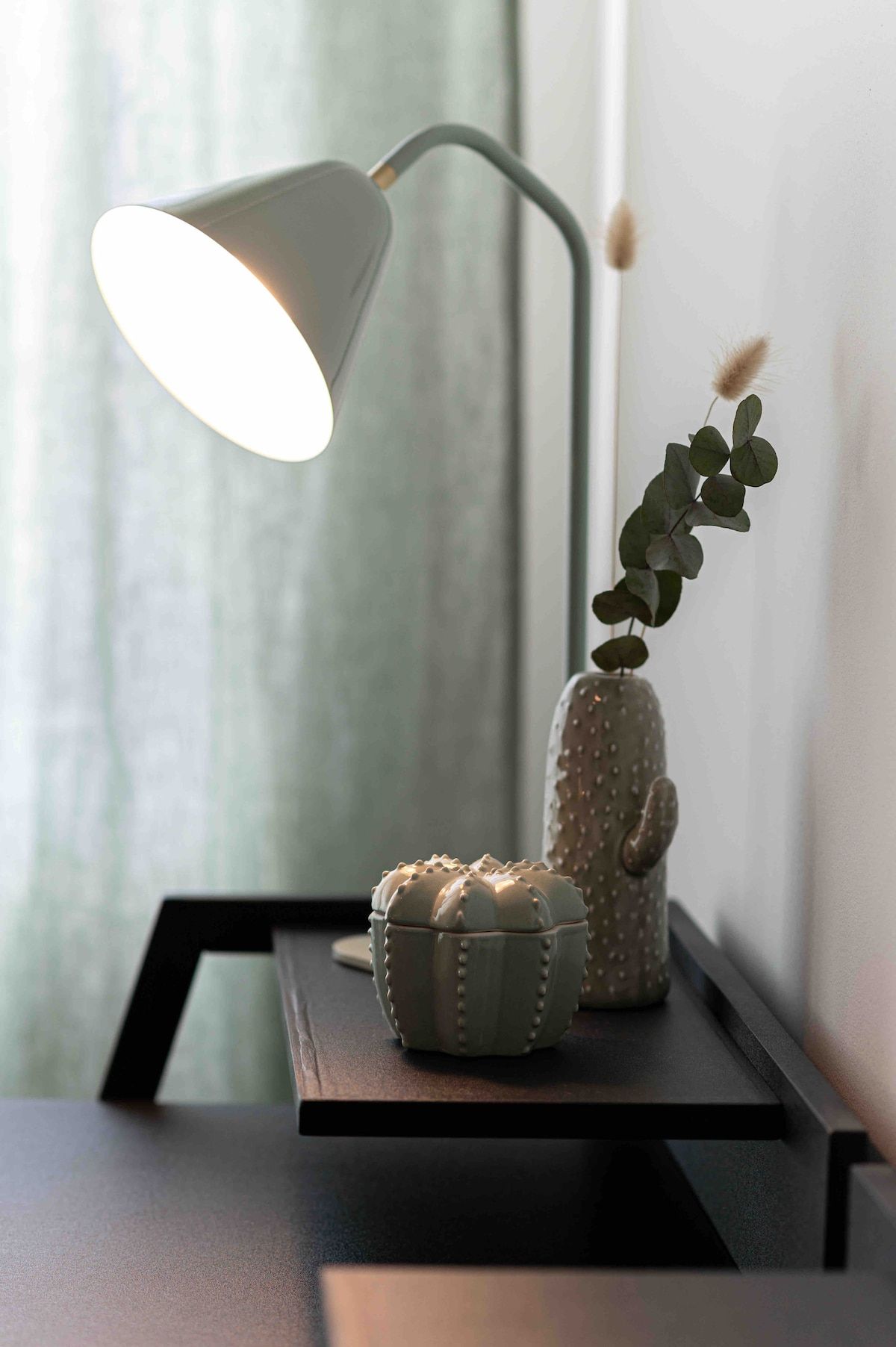 A desk lamp, two cacti, and a small plant on a black table.