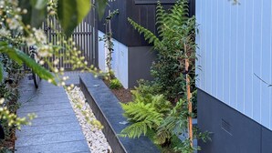 Un edificio moderno con un sendero estrecho, un pequeño jardín con plantas y un banco, y una ventana con un cojín a rayas.