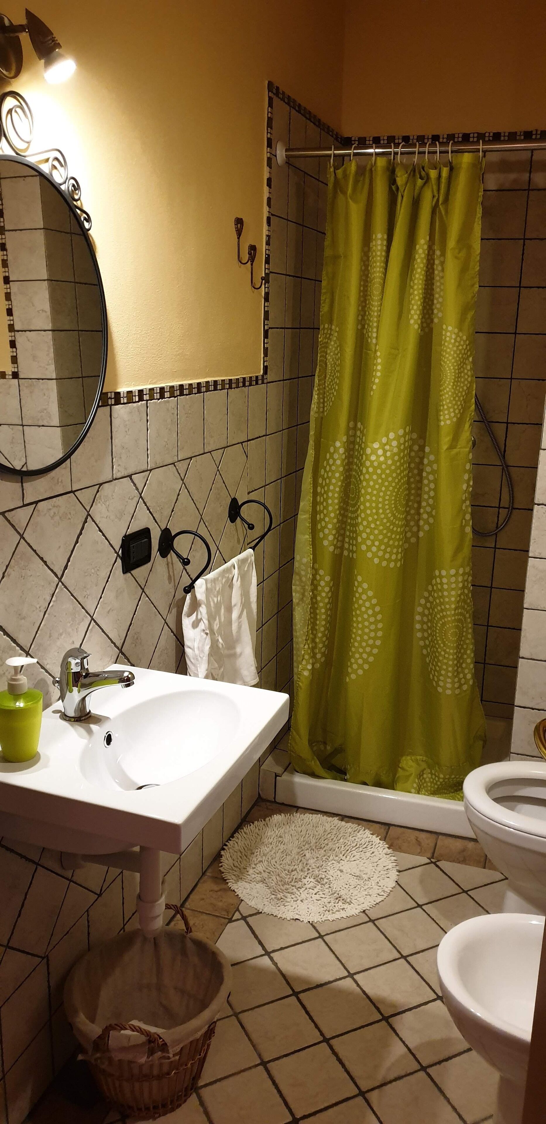 Hair dryer, bidet, towels, soap