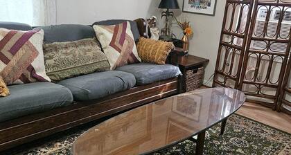 The Piney Woods Cottage - steps from downtown