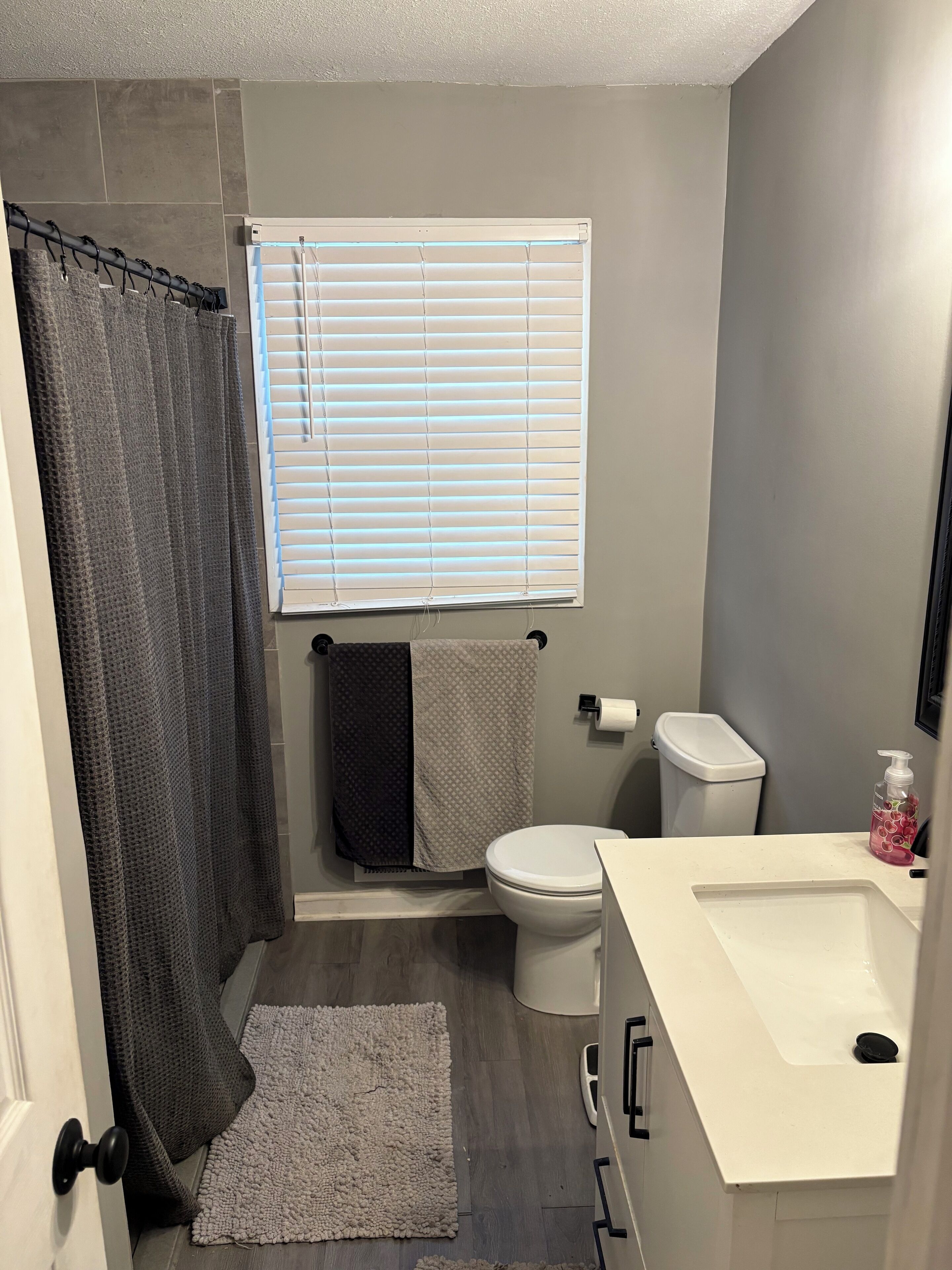 Regadera, secadora de cabello, toallas, jabón 