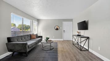 TV, books, offices