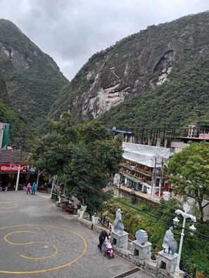 テラス / パティオ