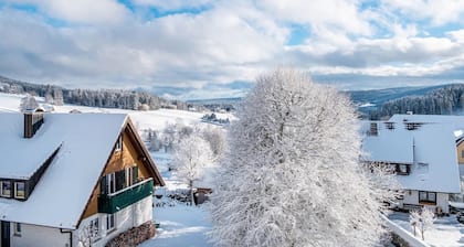 Apartment 'Haus Doktor Saeltzer for up to 13 Guests' with Mountain View, Garden & Wi-Fi