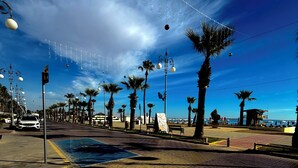 Un área peatonal empaveda con palmeras, farolas y un cielo azul despejado.