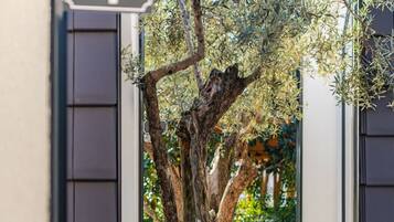 Vila | 1 kamar tidur