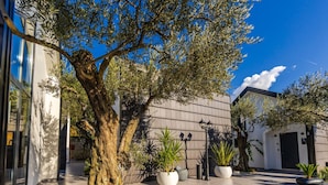A modern building with a large tree in the courtyard, potted plants, and a clear blue sky. - Muraga Villas 4 Xhubleta (Dajt)