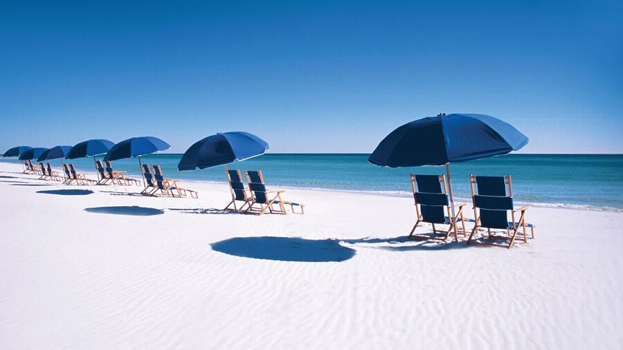 Owner-Managed Timeshare Condo