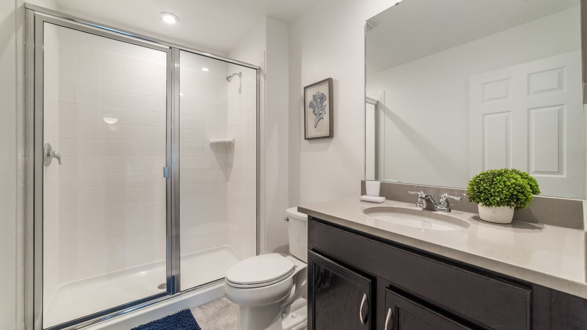 Een moderne badkamer met een douche met glazen wand, een toilet, een wastafel met spiegel en een kleine potplant.