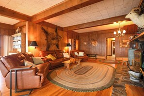 تلفزيون، مدفأة