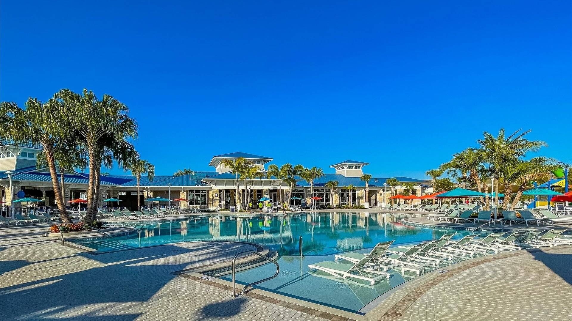 A resort pool area with lounge chairs, palm trees, and a clear blue sky.