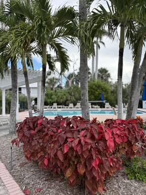 Property grounds - Angel Home | (Long Acre Lake subdivision shares Seagull Estates amenities) (Sanibel)