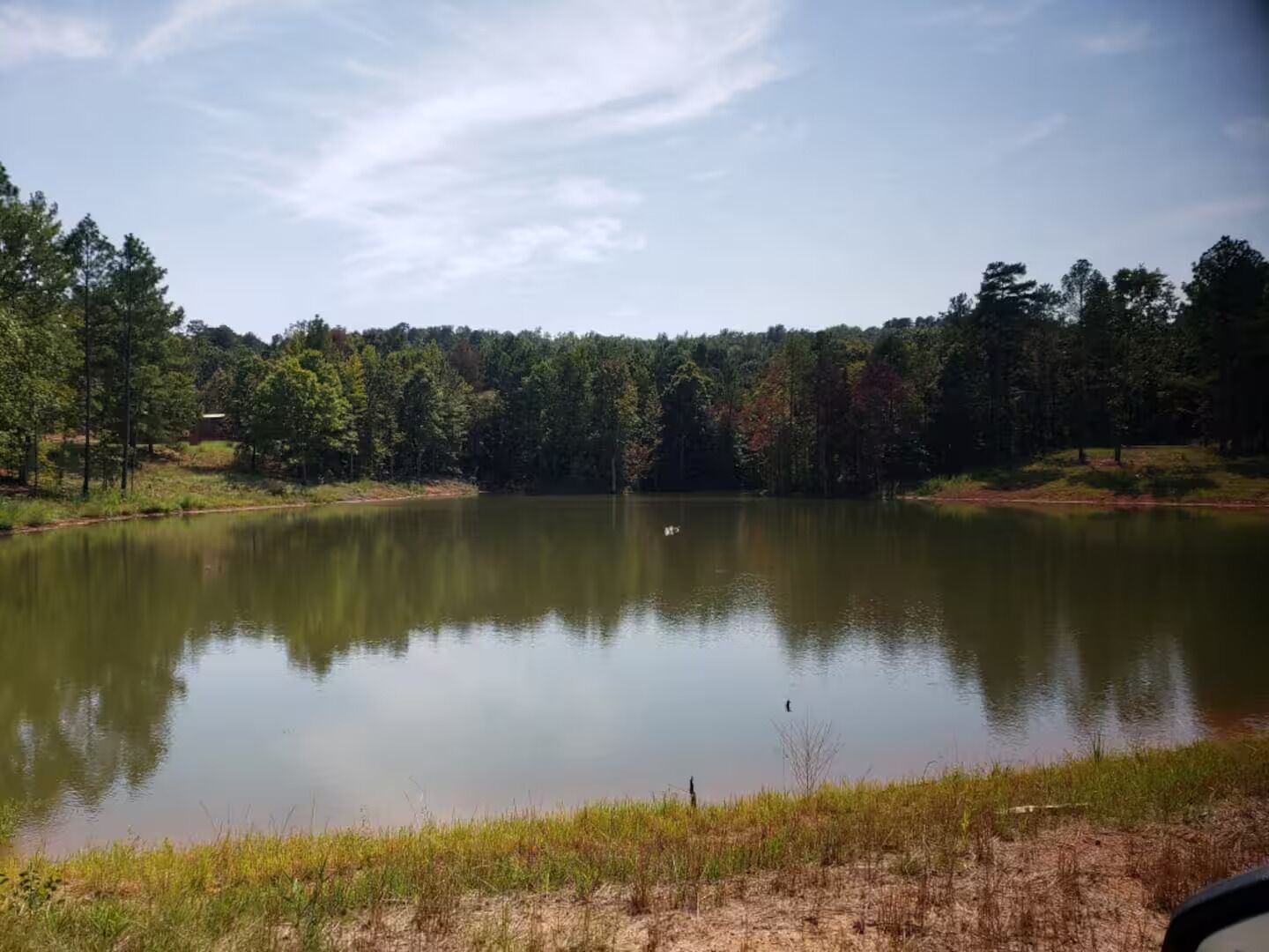 Un lac paisible, entouré d’une forêt dense.