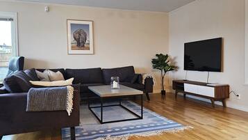 Télévision, cheminée