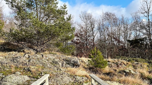 Une promenade en bois qui monte une pente, avec des garde-corps métalliques de chaque côté, et qui est entourée d’un terrain rocheux et d’une végétation clairsemée.
