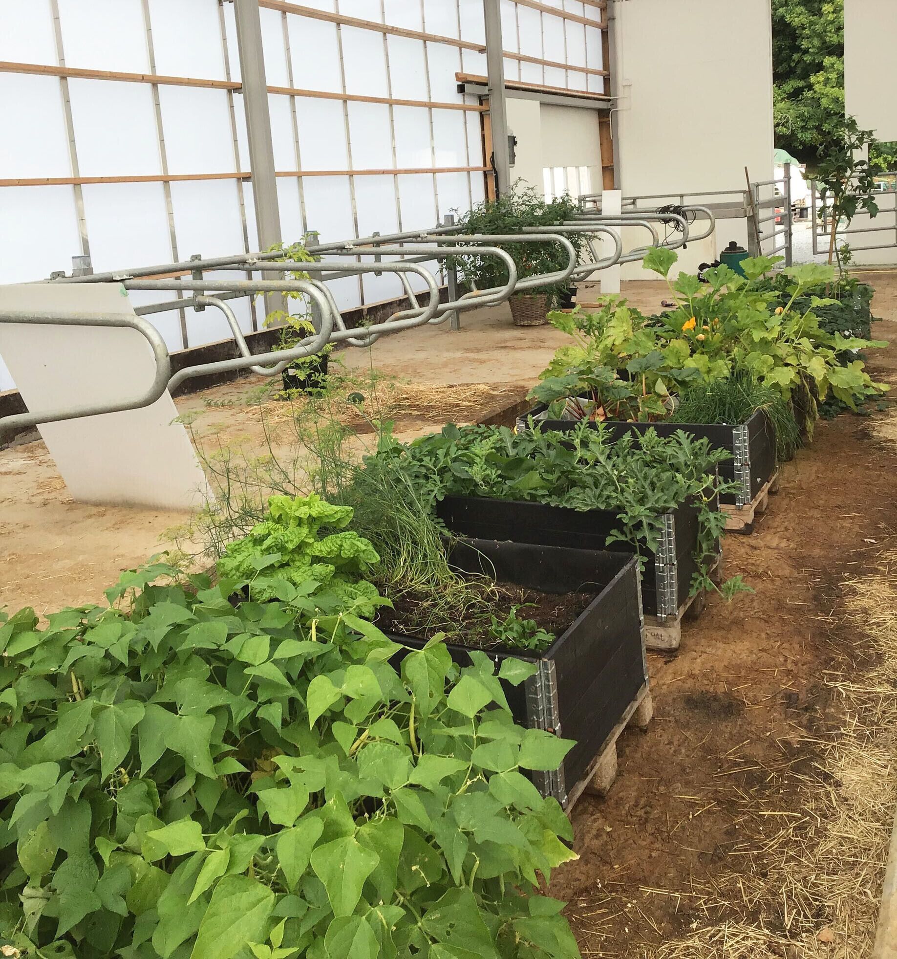 Áreas de la propiedad