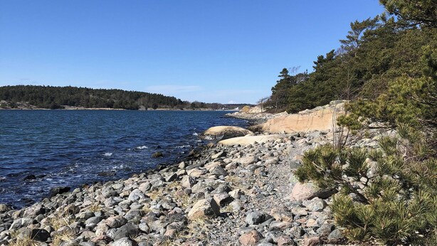 A rocky shoreline with clear blue water, a forested area, and a clear sky. - Lovely apartment, perfect for exploring Tjörn and Orust | SE09153 (Varekil)