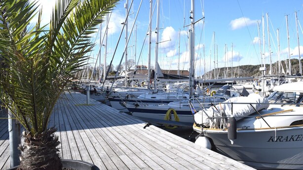 A marina with multiple sailboats docked, a wooden deck, and a palm tree. - Stay central & close to the sea in Henån | SE09155 (Henån)