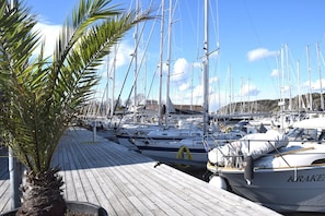 A marina with multiple sailboats docked, a wooden deck, and a palm tree.