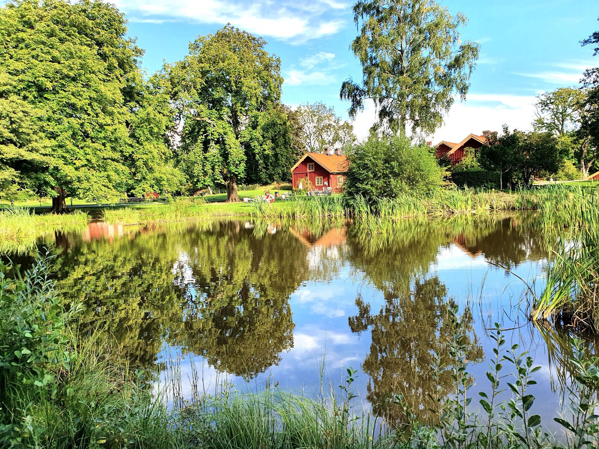 Jardines del alojamiento