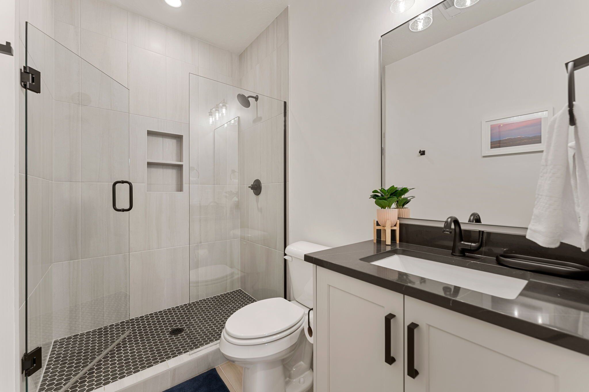 Une salle de bain moderne avec une douche à parois de verre, des toilettes blanches, un lavabo avec un miroir et une petite plante posée sur le comptoir.