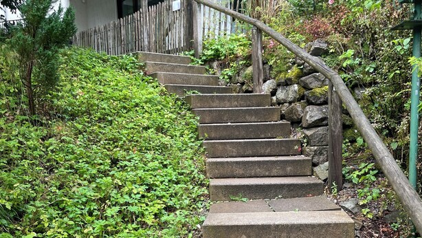 A set of stone steps leading up to a building with a wooden fence and greenery around. - FeWo Wald Idyllika (Willingen)