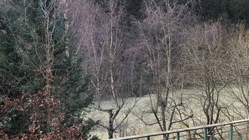 Apartment, Balcony, Garden View | View from room